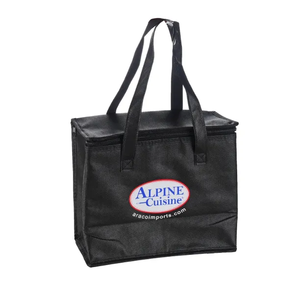 Lunch Bag Non Woven 10x12x6in,80gsm,3mm foam