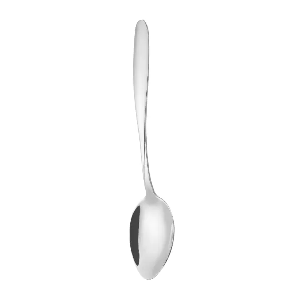 AC Spoon 6pc set