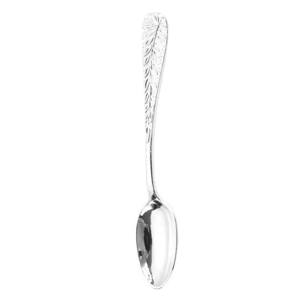 AC "12pcs spoon, silver color 4.5in"